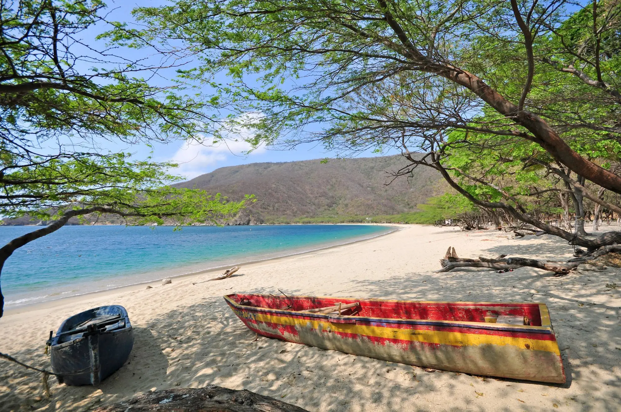 Bahía Concha: El Paraíso Tranquilo del Parque Tayrona en Santa Marta