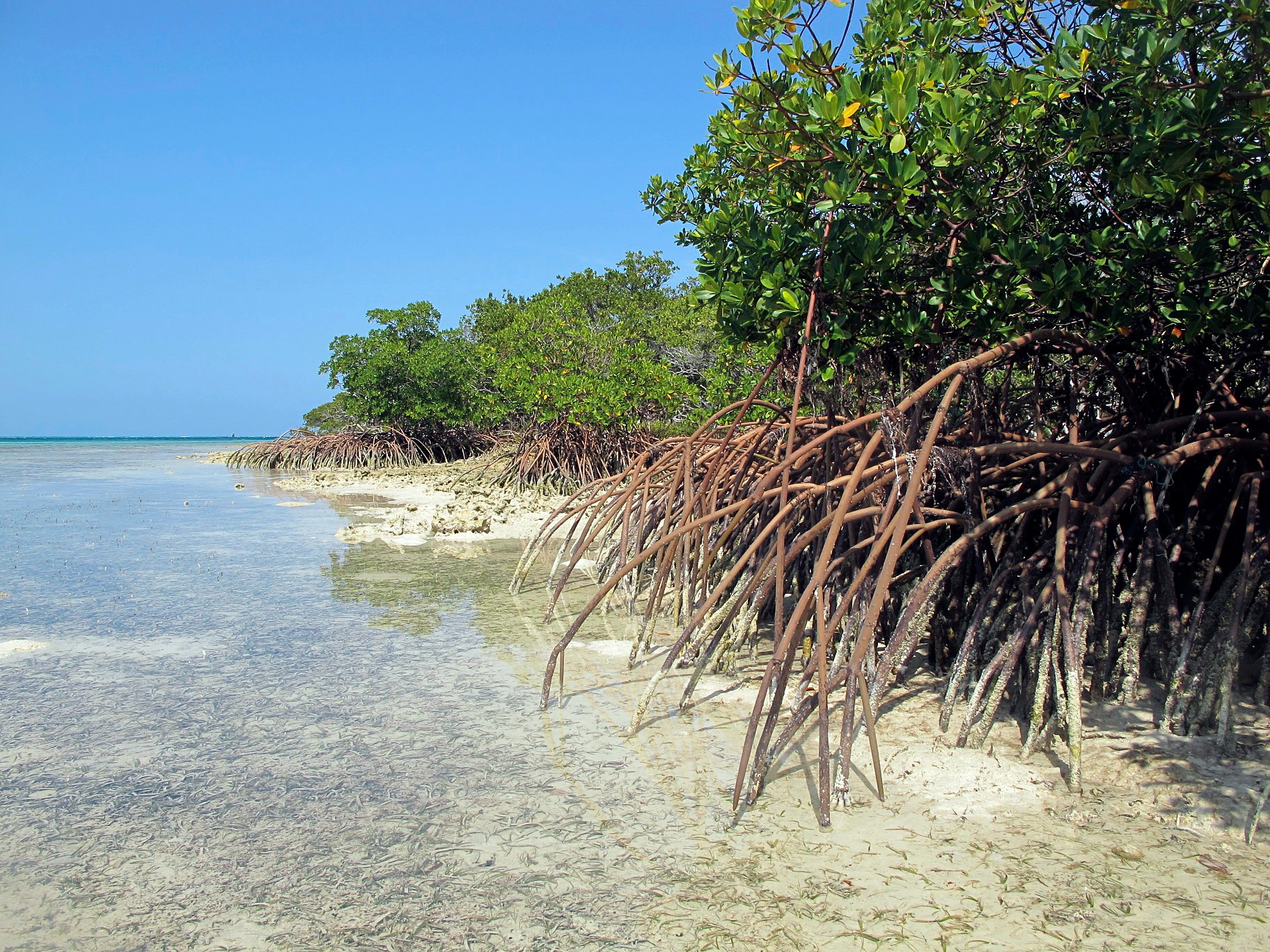 Descubre Cispata Playa: El Secreto Mejor Guardado del Caribe Colombiano
